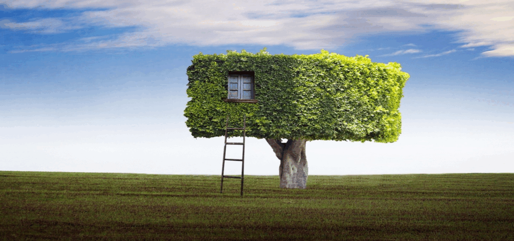 Kuiters timmerfabriek 1926, duurzame kozijnen, eco kozijnen, Accoya hout, houten deuren, houten ramen, houten kozijnen