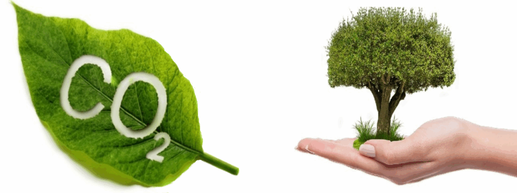 Duurzame kozijnen, circulaire kozijnen, houten kozijnen, serre, dakkapel, ramen, renovatie, restauratie, authentieke kozijnen, Hollandse kozijnen, duurzame kozijnen, Accoya kozijnen, co2 neutraal kozijnen,