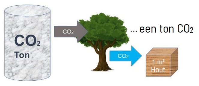 houten kozijnen, Co2 opslag, CO2 uitstoot, CO₂-equivalent, CO₂ in hout, hout natuurlijk,