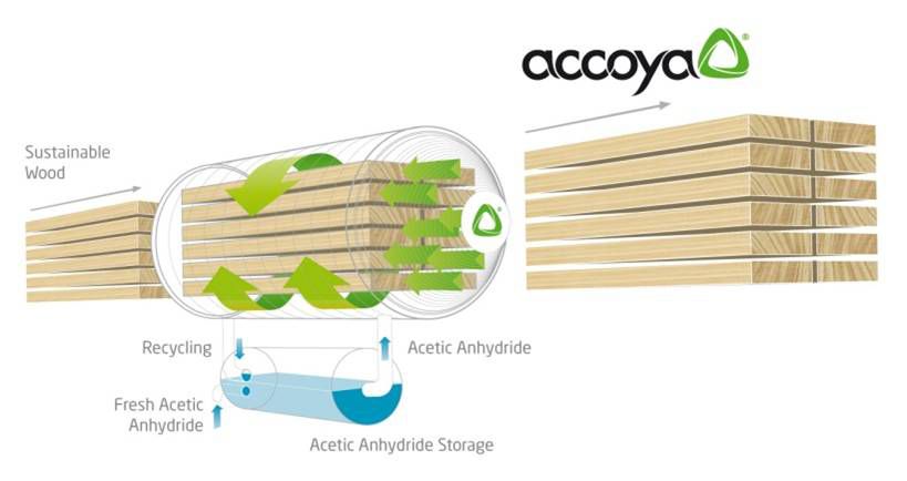 accoya proces, productie proces Accoya, Accoya hout, acetylatieproces , Acetyleren, Acetylatie van hout, duurzaam hout, duurzaamste hout, co2 vriendelijk hout,