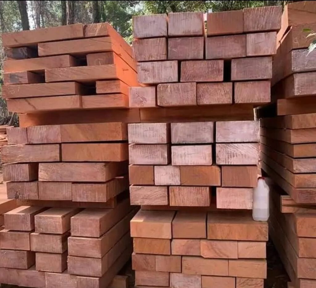 mahonie hout, Sapeli mahonie hout,