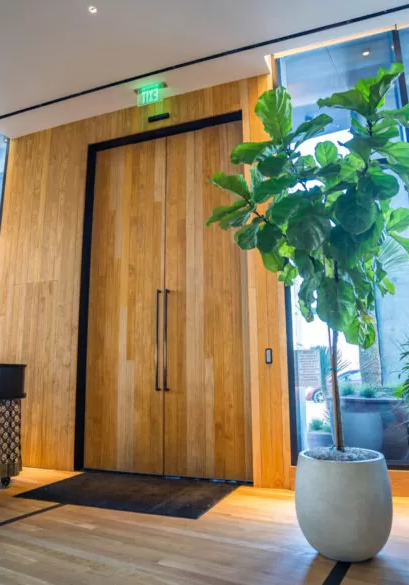 Kuiters timmerfabriek 1926, duurzame kozijnen, eco kozijnen, Accoya hout, houten deuren, houten ramen, houten kozijnen