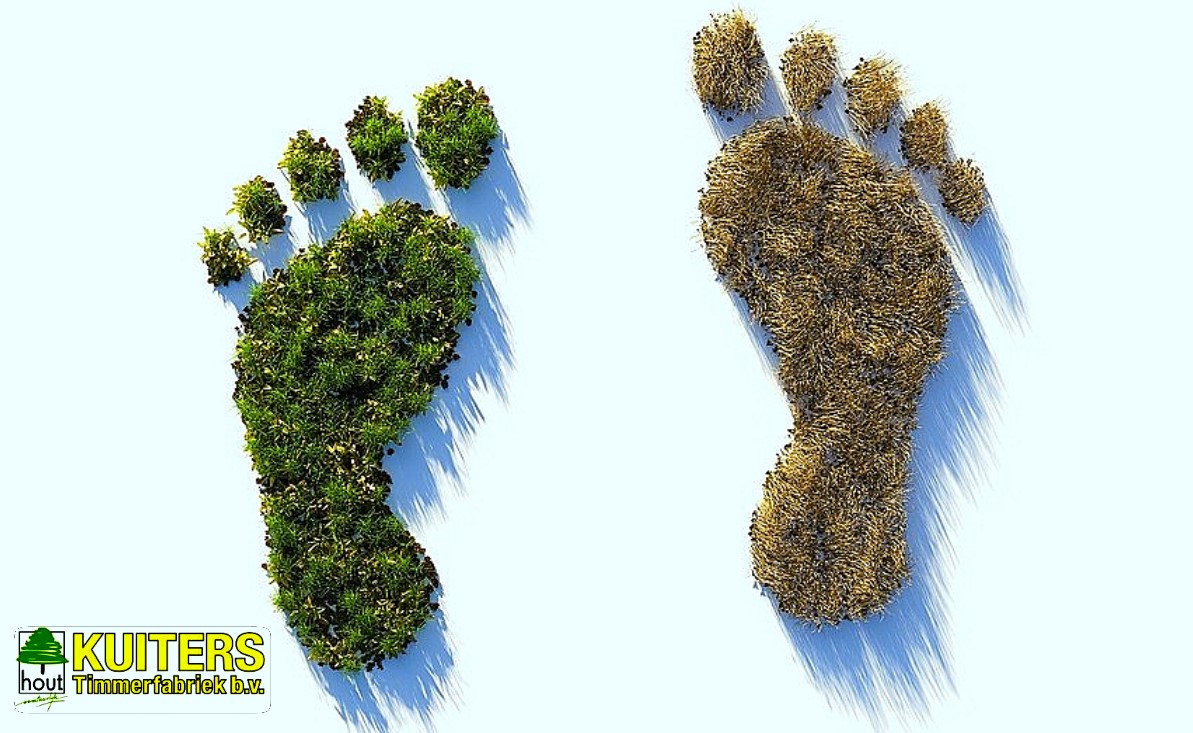 voet afdruk, groene voet afdruk, milieu en natuur, houten kozijnen, Co2 opslag, CO2 uitstoot, CO₂-equivalent, CO₂ in hout, hout natuurlijk,