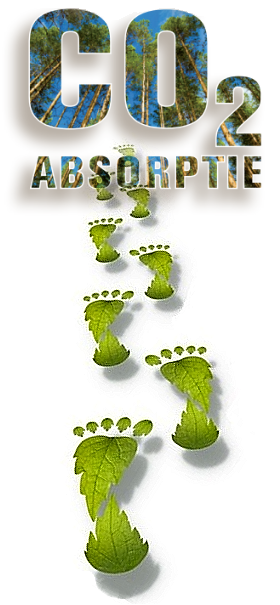 Accoya kozijnen, Kozijn van Accoya, deuren van Accoya, ramen Accoya, Schuifpui Accoya, vouwdeuren Accoya, Harmonica vouw deuren Accoya,