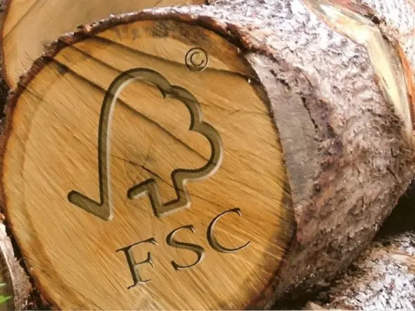FSC, duurzaam hout fsc, Kozijnen van Kuiters, kozijnen van hout, houten kozijnen, houten deuren, houten ramen, luiken, deur van hout, duurzame kozijnen, isolatie kozijnen, vouwdeuren, harmonica vouwdeuren, vouwpui, schuifpui, hf schuifpui, schuifdeuren, shutters, gevelbekleding, panelen, Accoya hout, 