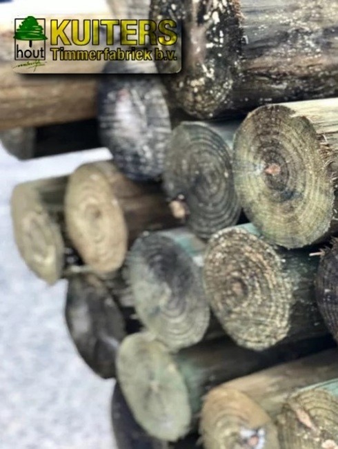 duurzaamste hout, duurzame kozijnen, eco kozijnen, Accoya hout, houten deuren, houten ramen, houten kozijnen, duurzaamheid kozijnen,