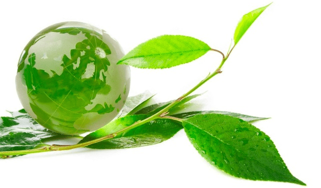 FSC, Bosbeheer FSC, duurzaam kozijn, duurzame kozijnen, duurzaamheid kozijn duurzaamheid kozijnen, energieneutraal kozijnen, circulaire kozijnen, eco kozijnen, eco kozijn, passiefbouwe, passief kozijn, energieneutraal kozijnen