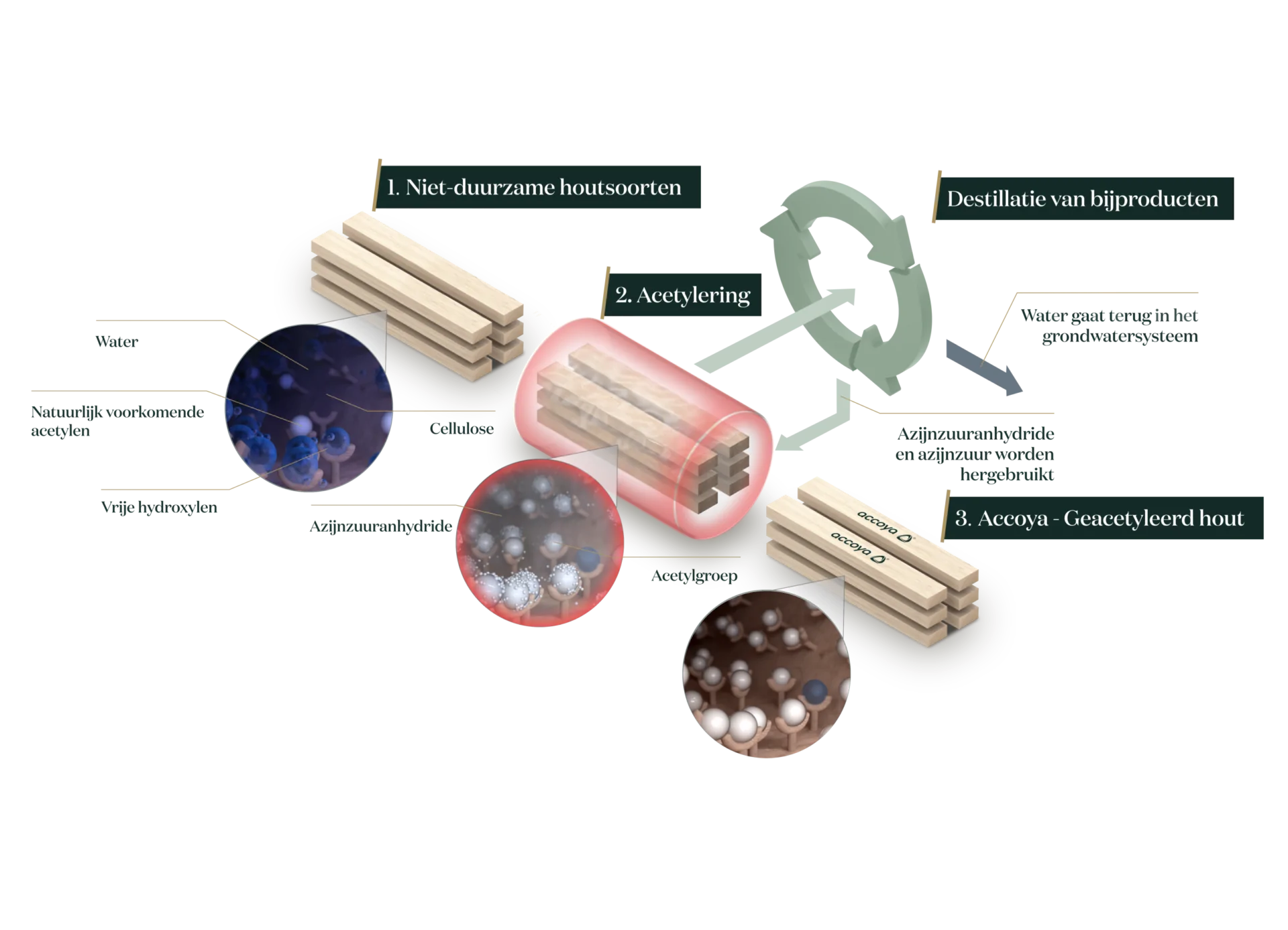 accoya proces, productie proces Accoya, Accoya hout, acetylatieproces , Acetyleren, Acetylatie van hout, duurzaam hout, duurzaamste hout, co2 vriendelijk hout,